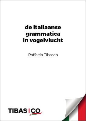 &quot;De grammatica in vogelvlucht&quot;