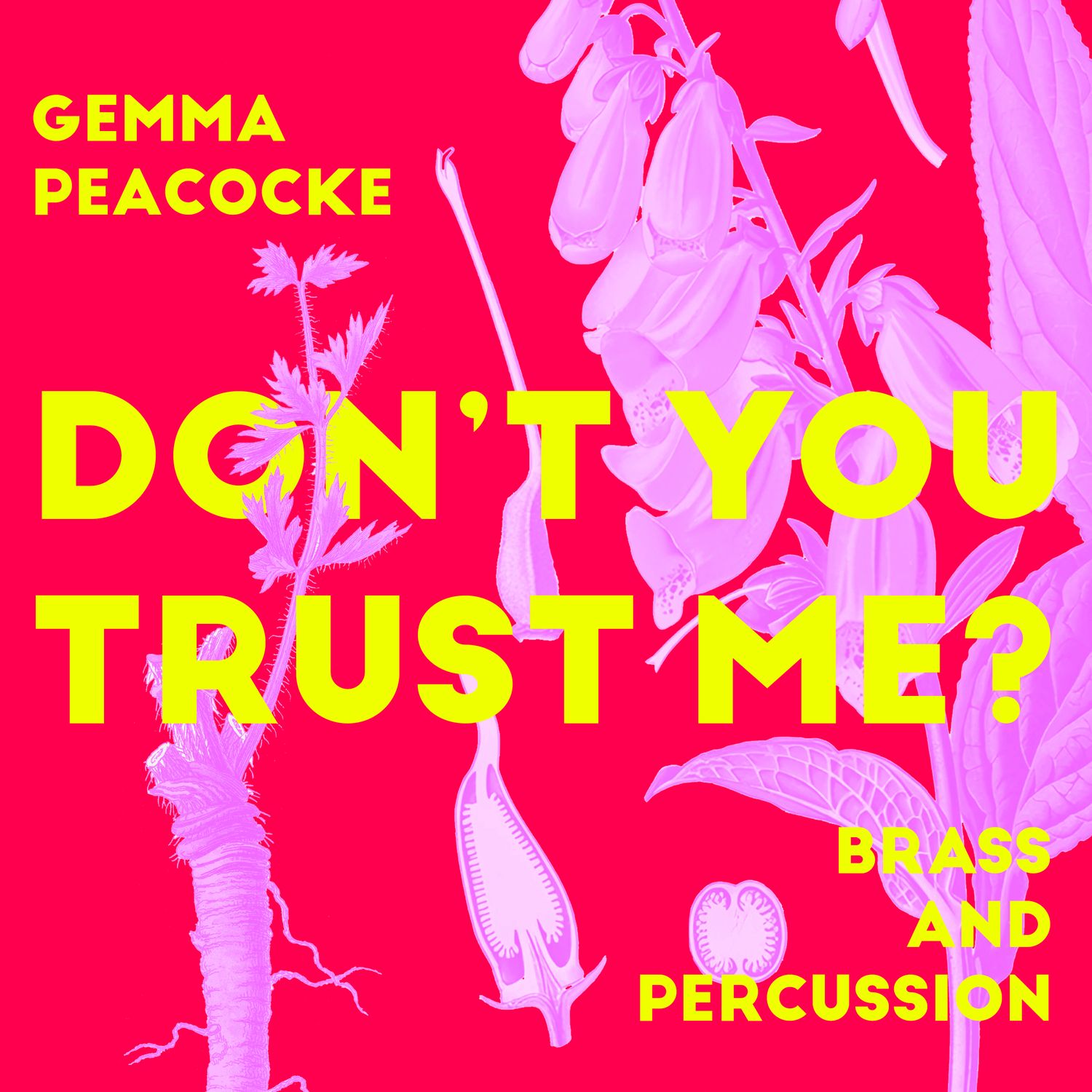 Don&#39;t You Trust Me?