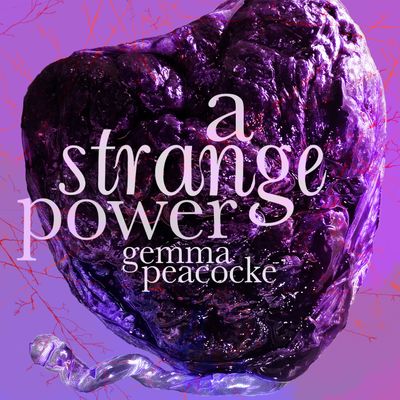 A Strange Power&nbsp;(2024) 50' for two sopranos, clarinet, piano, percussion, and cello