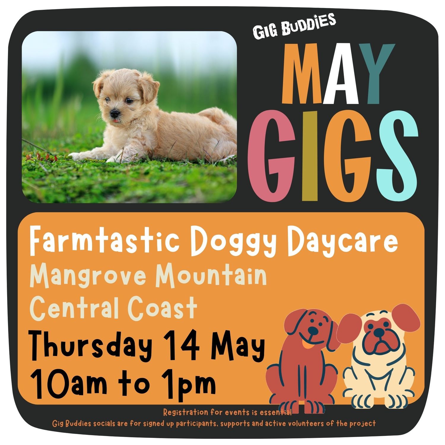 Farmtastic Doggy Daycare @ Mangrove Mountain - Thursday 14 May