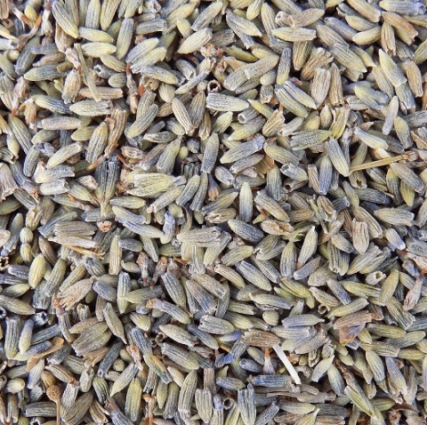Lavendel 50 gram