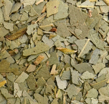 Eucalyptus 50 gr