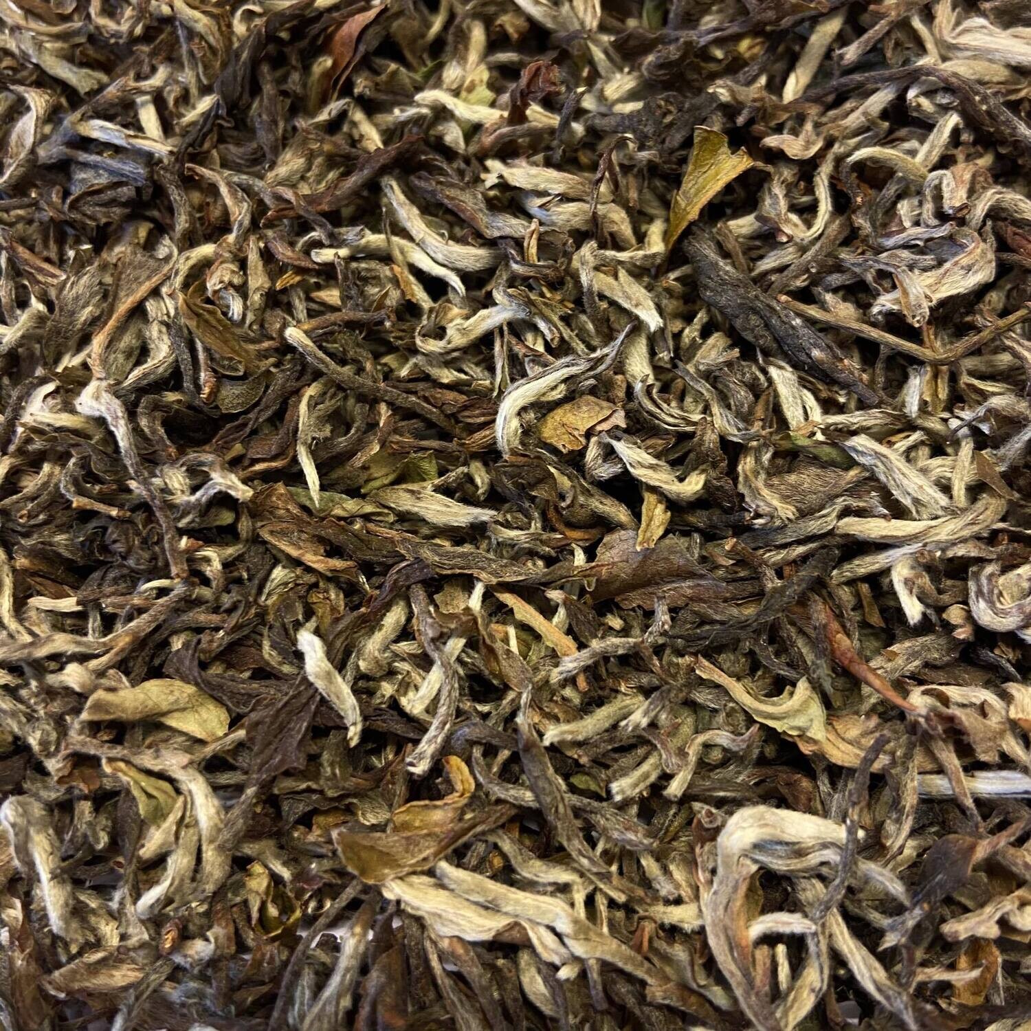 Darjeeling Namring oolong BONZER