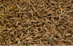 Anijszaad 100 gram Anijszaad 100 gram