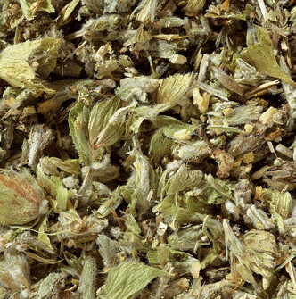 Griekse bergthee 50 gram Griekse bergthee 50 gram