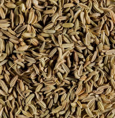 Venkelzaad 100 gram Venkelzaad 100 gram