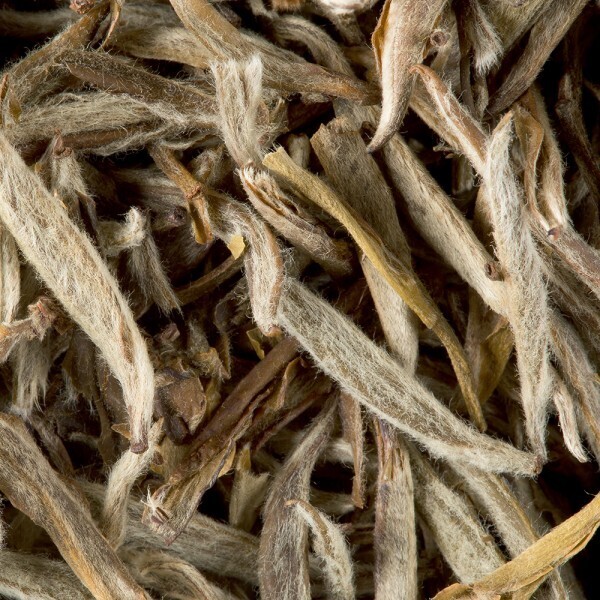 Jasmijn Bai Hao Yin Zhen (Silver needle) Jasmijn Bai Hao Yin Zhen (Silver needle)
