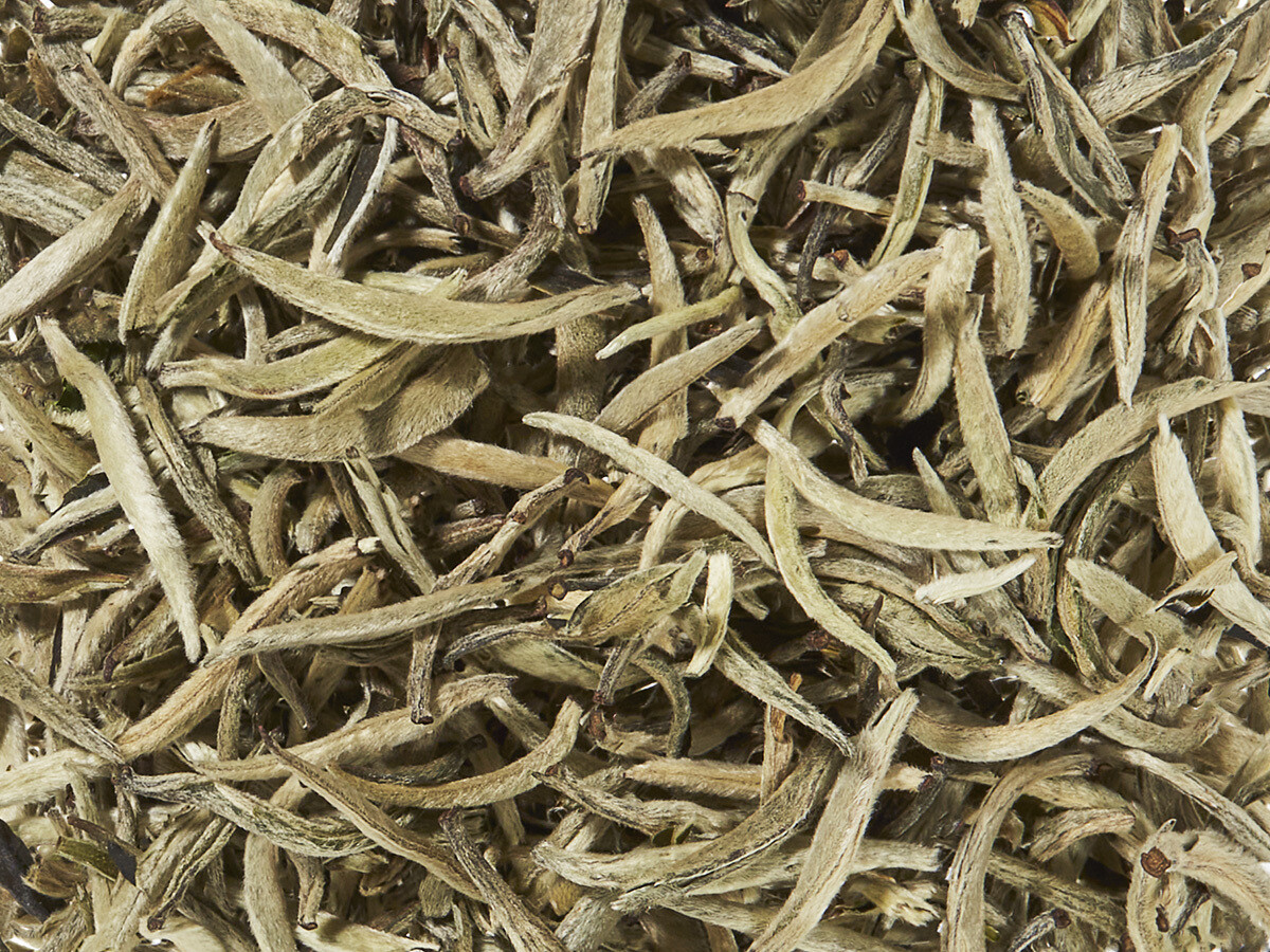 Bai Hao Yin Zhen (Silver needle) Bai Hao Yin Zhen (Silver needle)