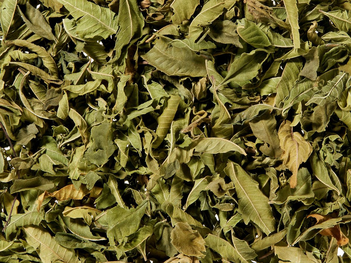 Citroenverbena 25 gr BIO Citroenverbena 25 gr BIO