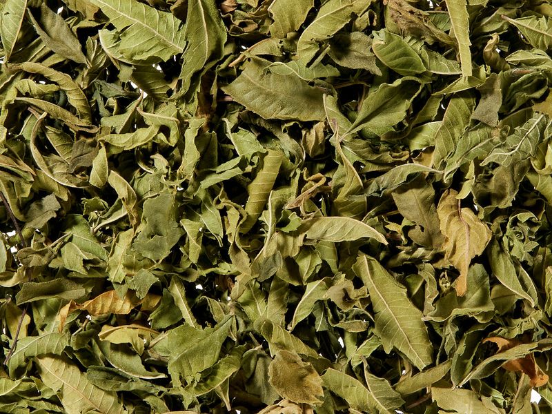 Citroenverbena 50 gr BIO