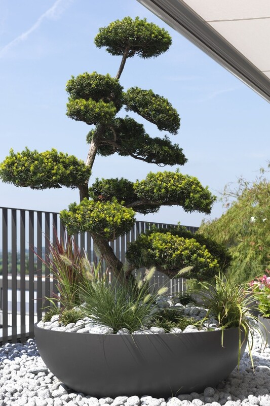 Swisspearl - Bonsai Pflanzengefäss