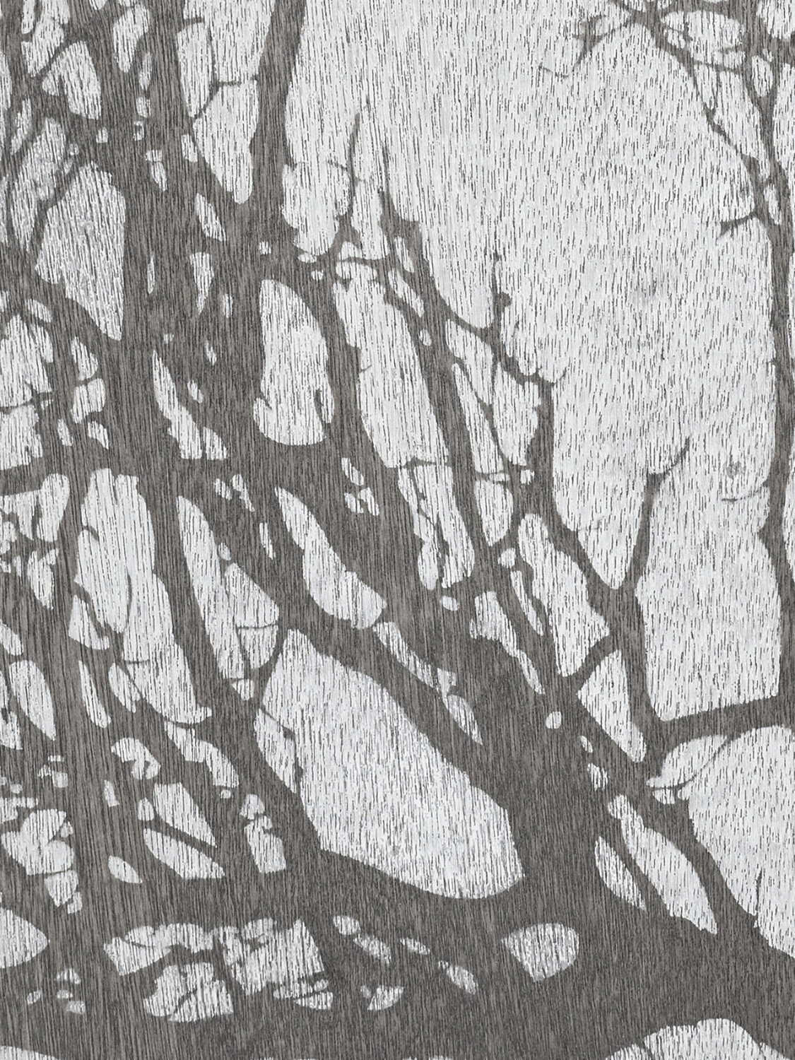 (Sale) Tablett quadratisch, 51cm - Holz, White Tree