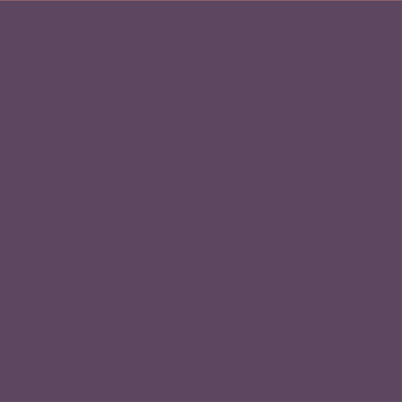 Wandfarbe No. 66 - Violet