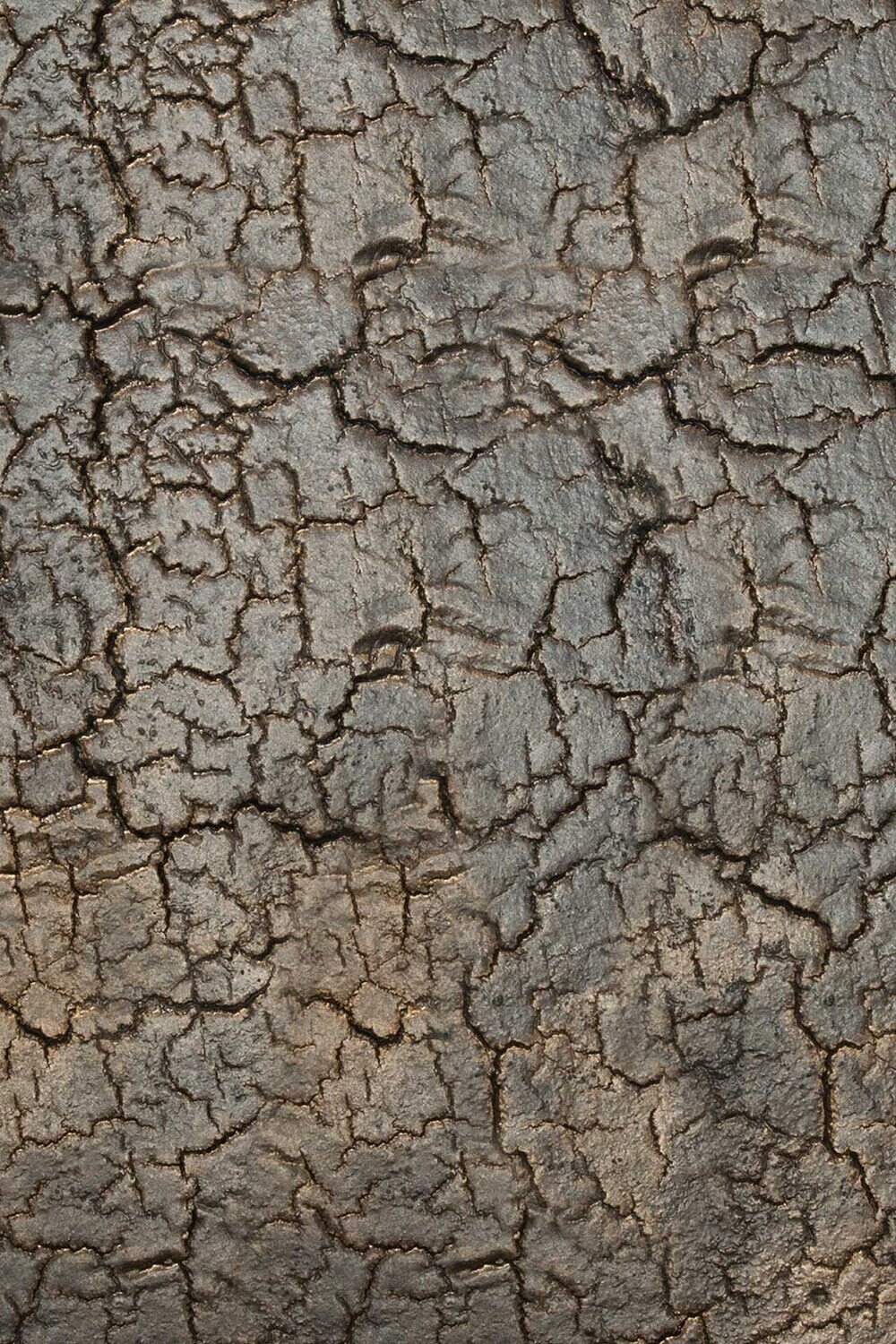 Ethnicraft - Triptic Beistelltisch - Lava, Whisky