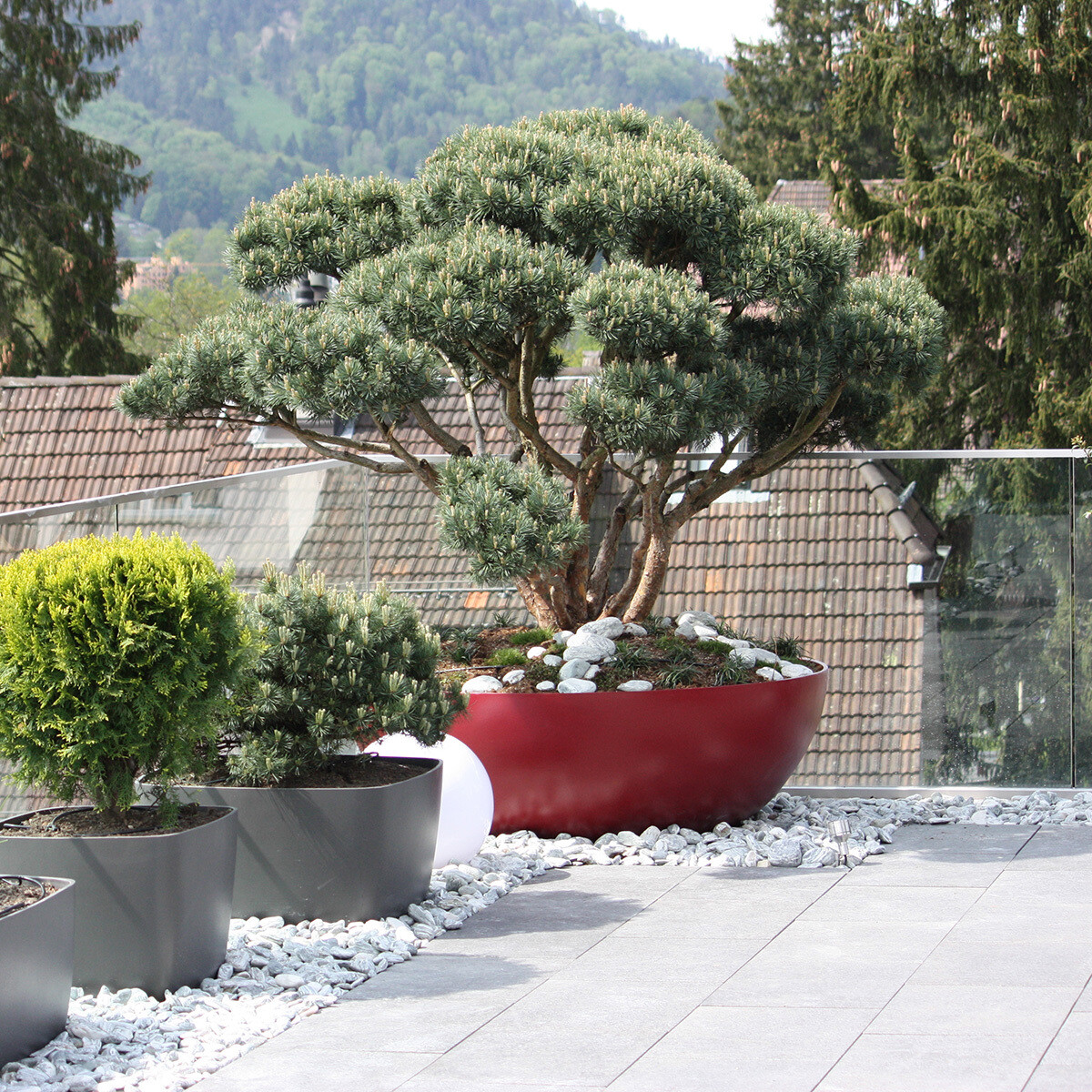 Swisspearl - Bonsai Pflanzengefäss