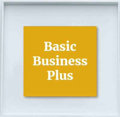 Basic Business Plus