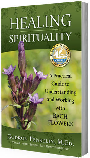 HEALING SPIRITUALITY