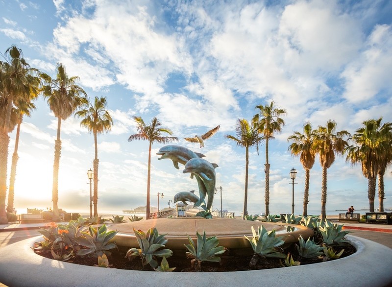 Signed Print | Morning Flight