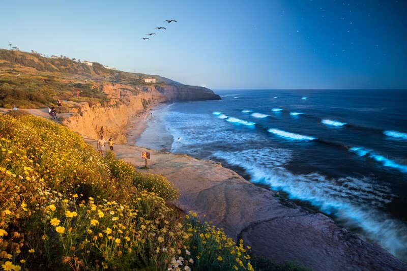 Signed Print | "Neon Waves 4D"