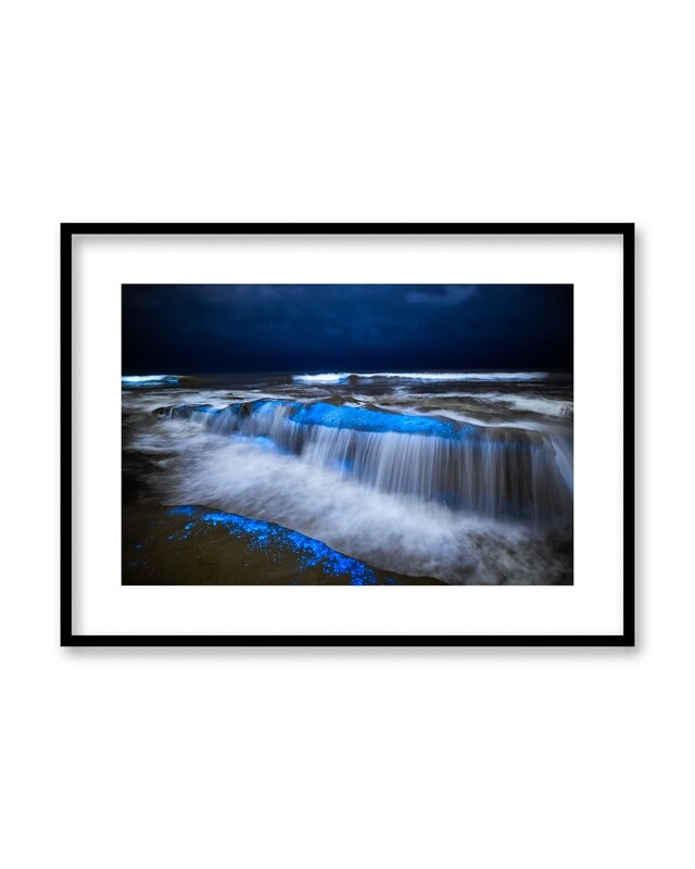 Signed Print | "Neon Tide Pool"