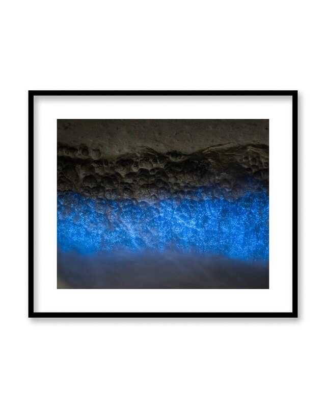 Signed Print | "Plankton Sparkle"