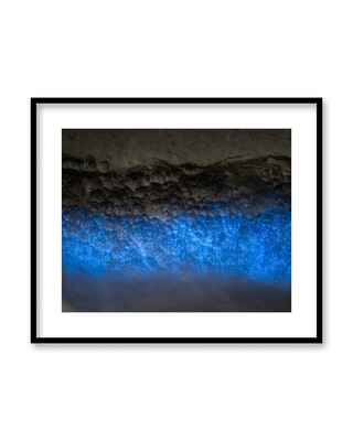 Signed Print | "Plankton Sparkle"