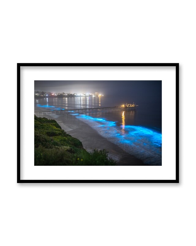 Signed Print | "Scripps Pier Bioluminescence"