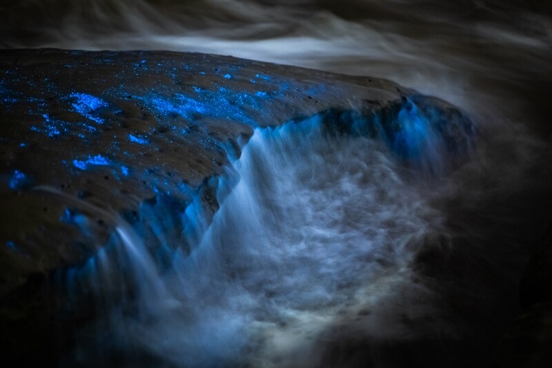 Signed Print | "Extraterrestrial Tidepool"