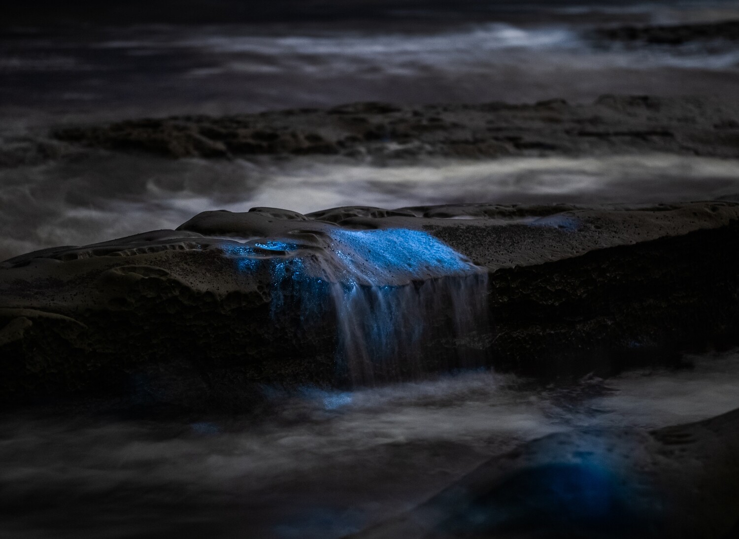 Signed Print | "Out of the Blue"