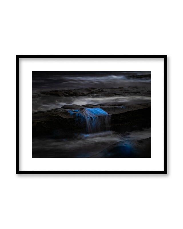 Signed Print | "Out of the Blue"