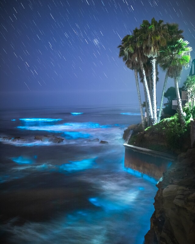 Signed Print | "Electric Water"