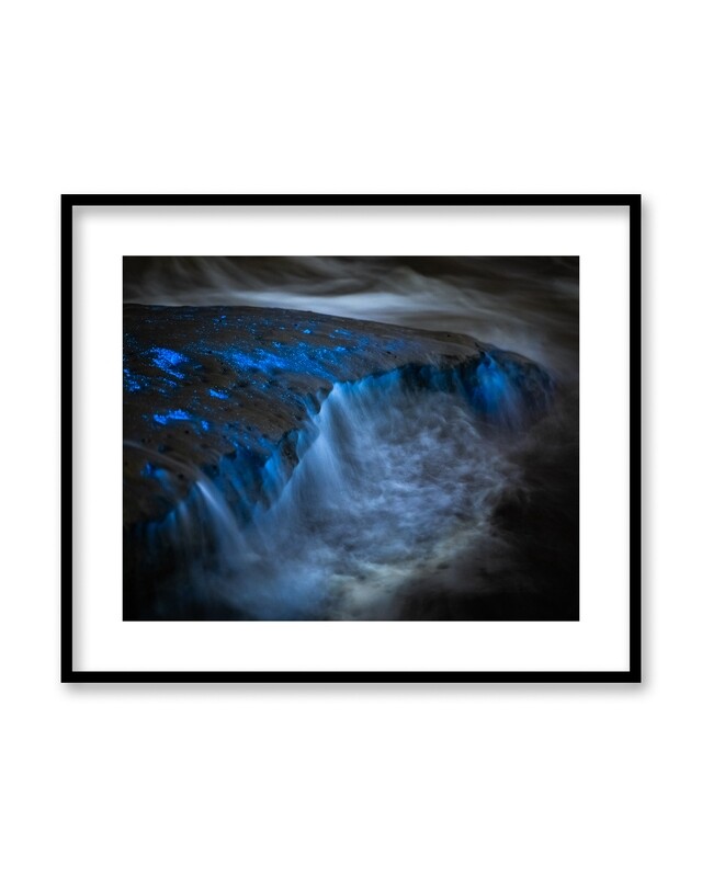 Signed Print | "Extraterrestrial Tidepool"