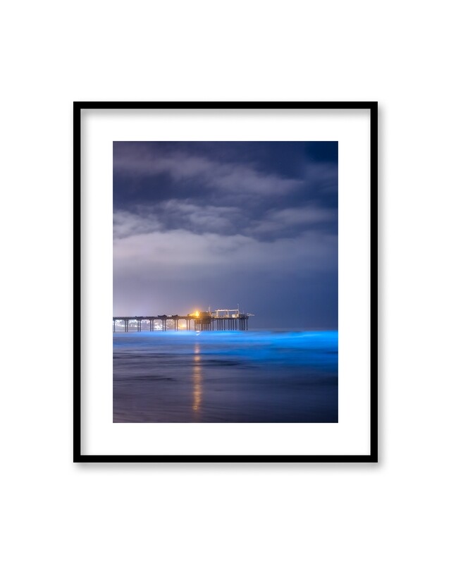 Signed Print | "Bioluminescence under the Pier"