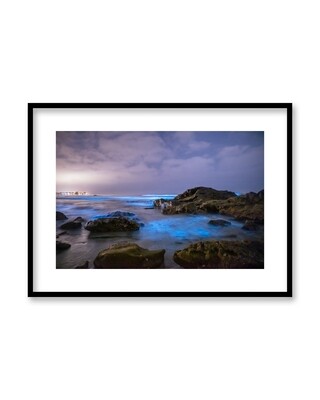 Signed Print | "Bioluminescence Cove"