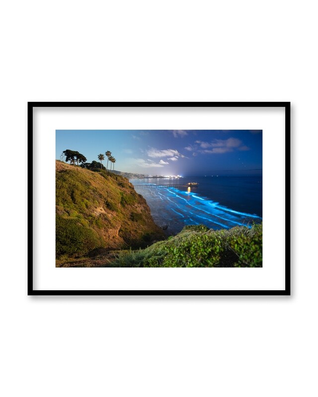 Signed Print | "Scripps Coast Bioluminescence 4D"