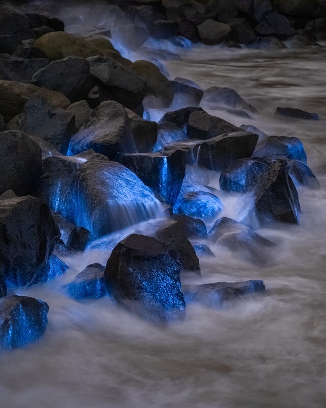 Signed Print | "Neon Rocks"