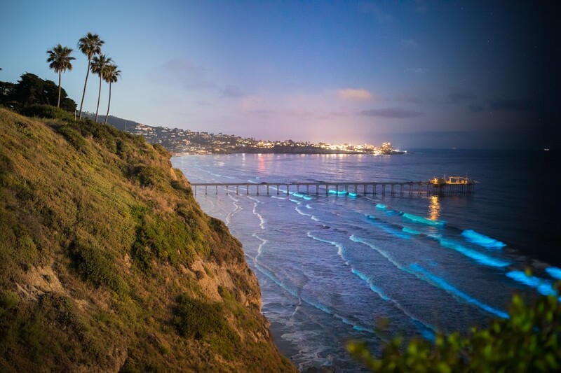 Signed Print | "La Jolla Bioluminescence 4D"