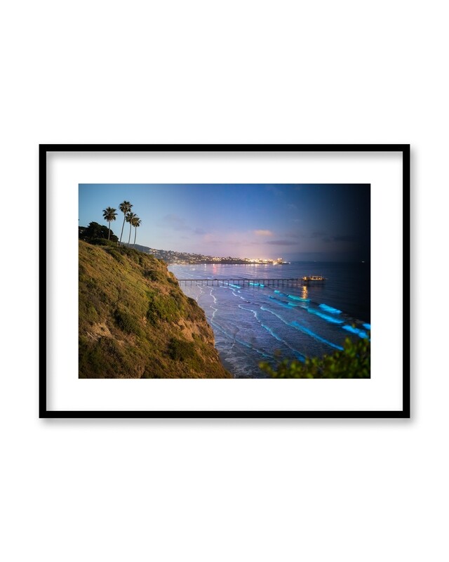 Signed Print | "La Jolla Bioluminescence 4D"