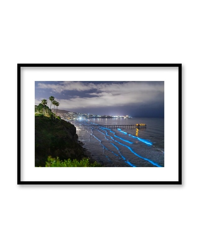 Signed Print | "Scripps Coast Bioluminescence"