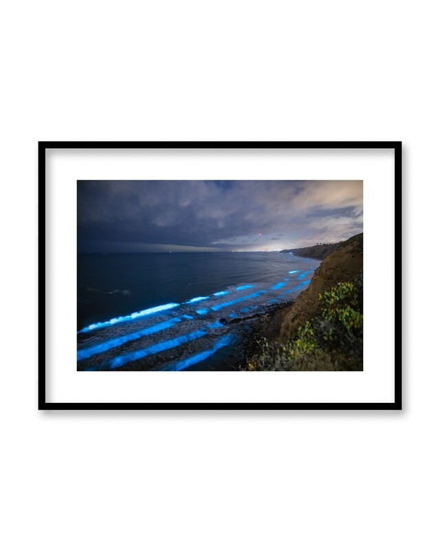 Signed Print | "Blacks Beach Bioluminescence"