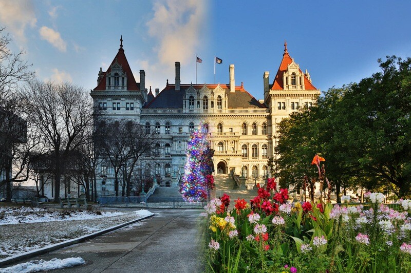 Season Desist 4D | Signed Print