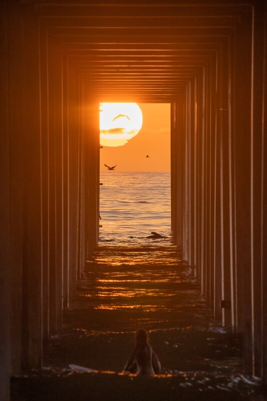 Scrippshenge Detail 2022 | Signed Print