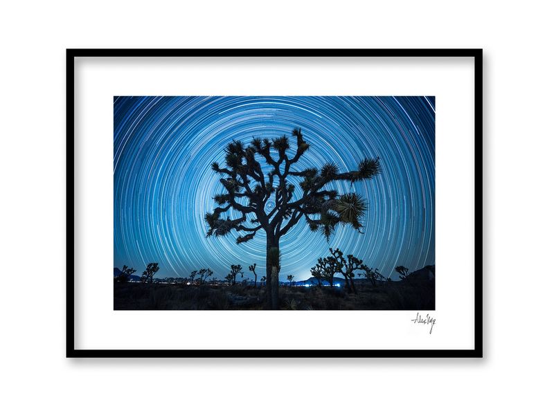Polaris Joshua Tree | Signed Print