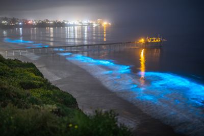 Signed Print | "Scripps Pier Bioluminescence"