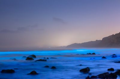 Signed Print | "Neon Water Glow"