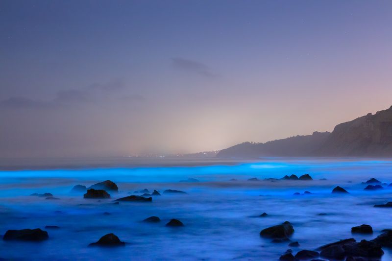 Signed Print | "Neon Water Glow"