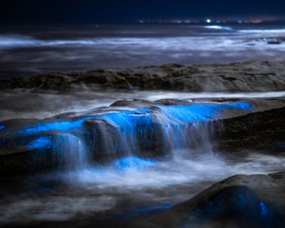 Signed Print | "Blue Drip"