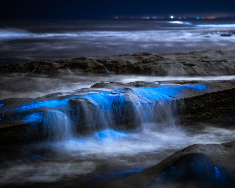 Signed Print | "Blue Drip"