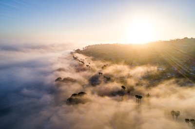 Above The Fog | Signed Print