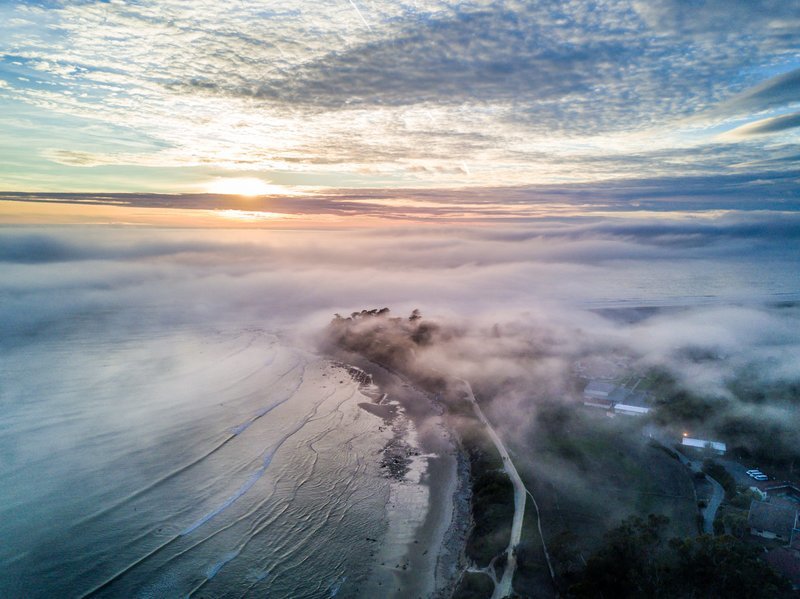 Birds Commute | Signed Print